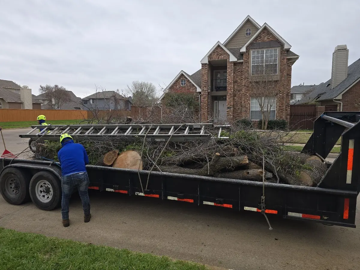 Expert Tree Fertilization with proper safety equipment in Thayer